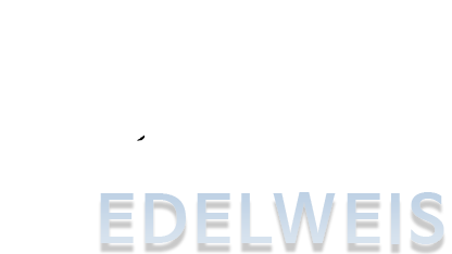 첨단교육혁신지원시스템 EDELWEIS